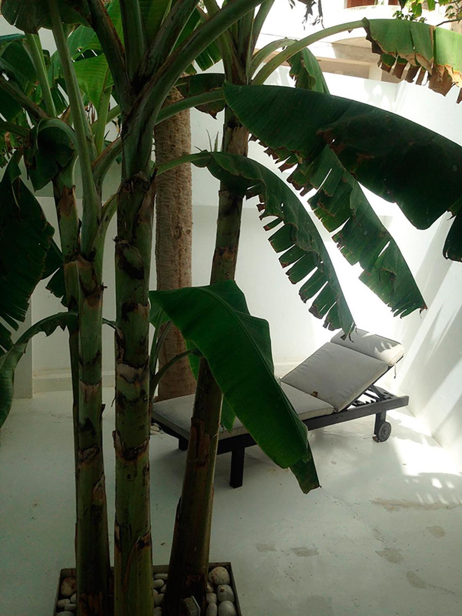 Casa Branca Hotel Mindelo Kültér fotó